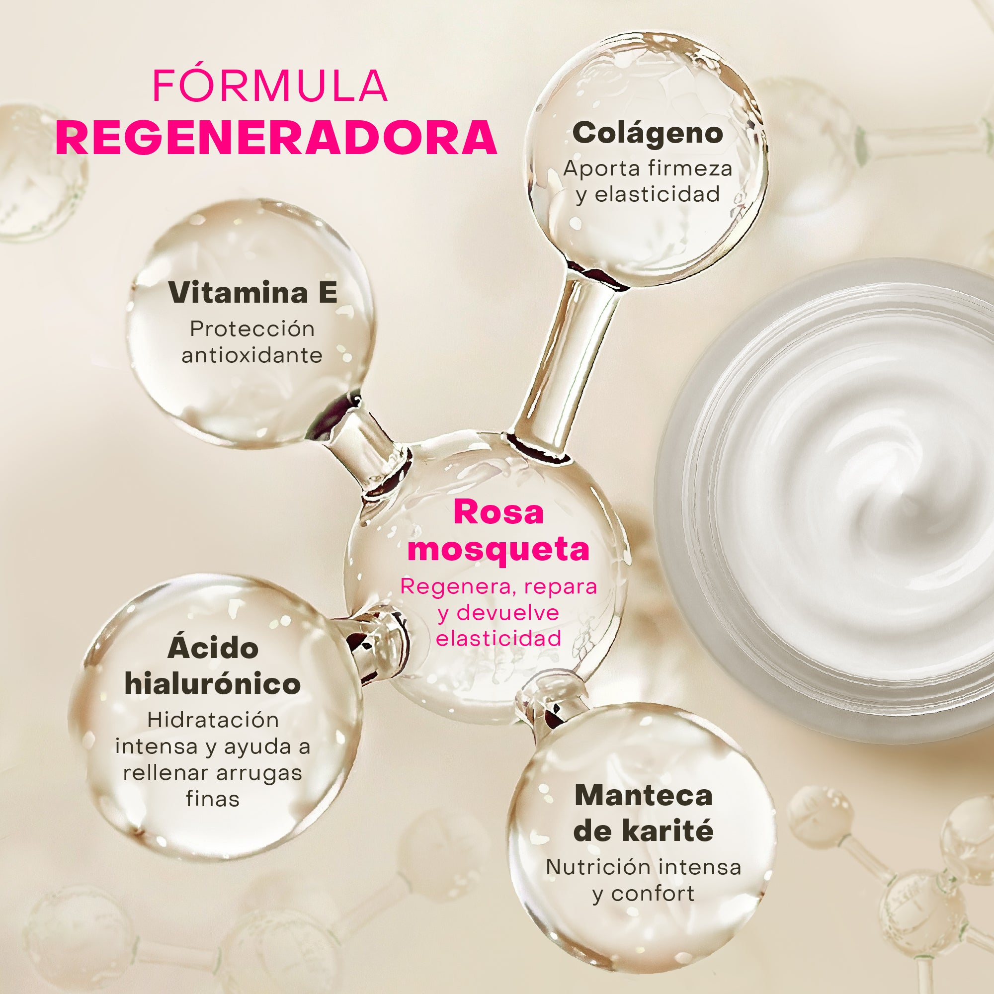 repavar-regeneradora-crema-facial-antiedad-con-rosa-mosqueta-50-ml image 3